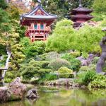 san_francisco_japanese_tea_garden
