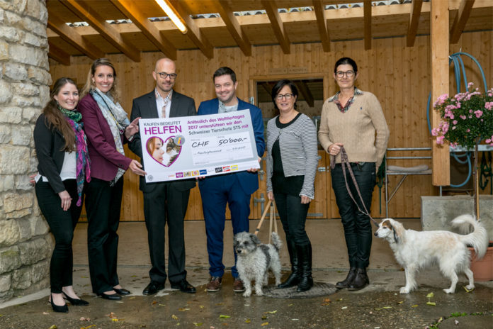 Schweizer Tierschutz STS erhält Spende