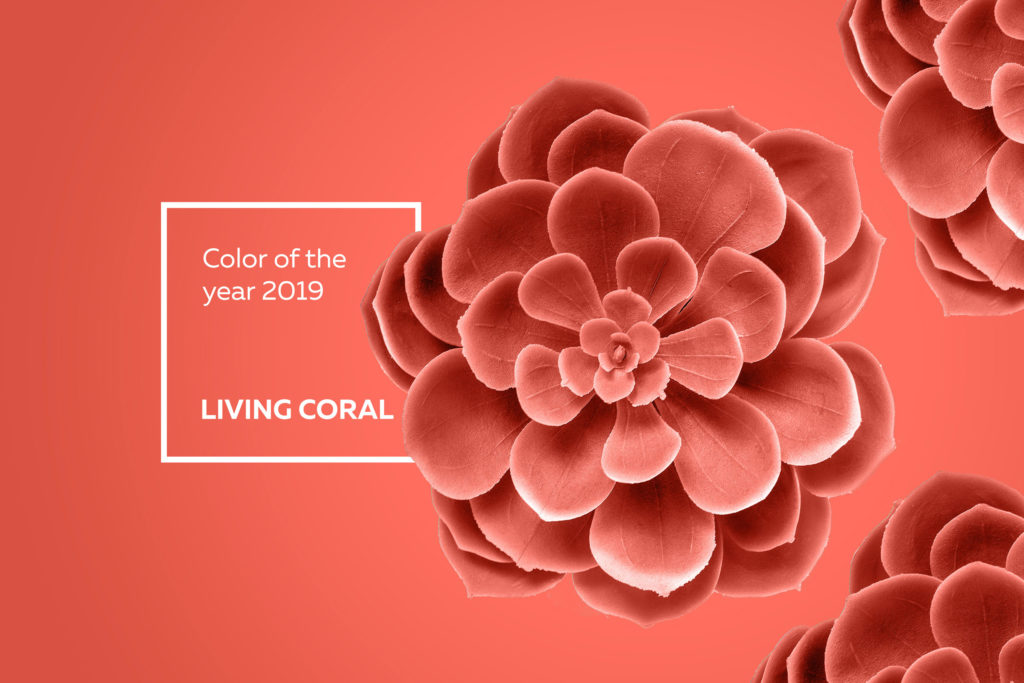 "Living Coral": Wie beliebt ist die Trendfarbe 2019 wirklich?
