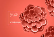 "Living Coral": Wie beliebt ist die Trendfarbe 2019 wirklich?