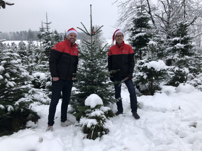 DPD Schweiz hat 500 Weihnachtsbäume verlost