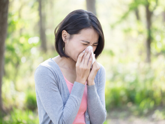 Niesen und Schnupfen sind typische Symptome einer Pollenallergie.