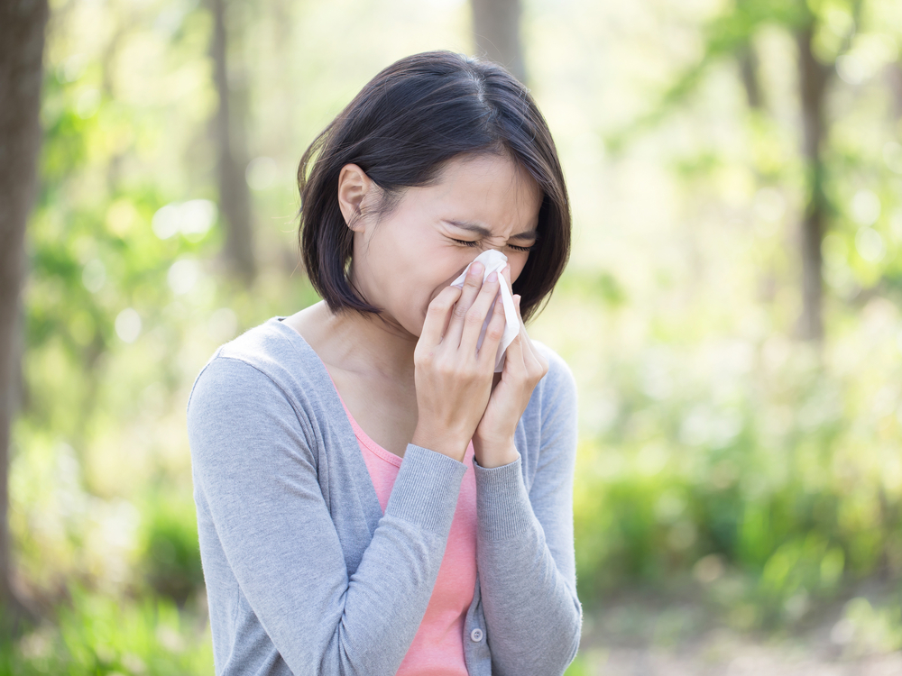 Niesen und Schnupfen sind typische Symptome einer Pollenallergie.
