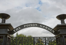 Der "Poison Garden" von Alnwick liegt in Northumberland im Nordosten Englands.