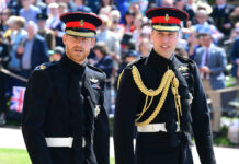 Prinz Harry (li.) und Prinz William treffen am 17. April erstmals wieder aufeinander.