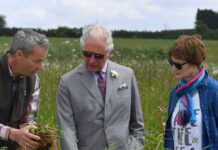 Prinz Charles engagiert sich leidenschaftlich für die Umwelt.