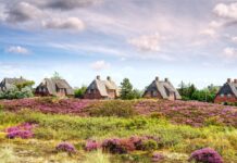 Prägen den Charme der Insel Sylt: Reetdachhäuser