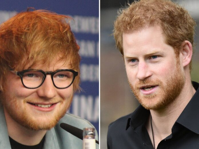 Die Väter Ed Sheeran und Prinz Harry sprachen bei den WellChild Awards auch über Kindererziehung.