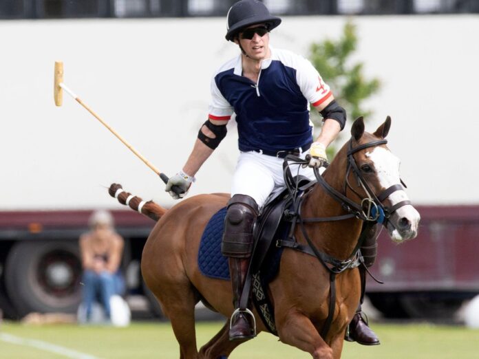 Prinz William bei dem Polo-Turnier.