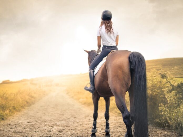 Für Pferdefans ist ein Urlaub auf dem Bauernhof genau das Richtige.