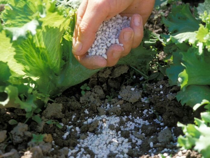 Algenkalk kann als ökologischer Gartendünger eingesetzt werden.