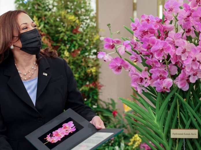 Kamala Harris steht neben einem Exemplar der nach ihr benannten Orchidee 