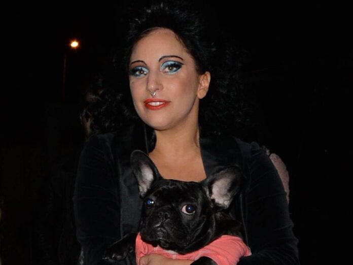 Lady Gaga mit einem ihrer geliebten Hunde.