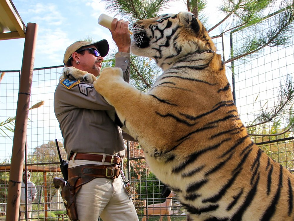 Auch in "Tiger King 2" geht es eher um Menschen als um Großkatzen...