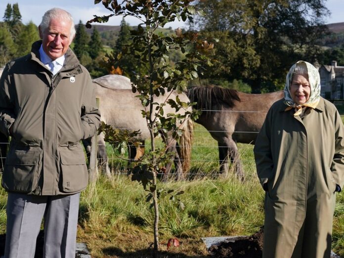 Prinz Charles und Queen Elizabeth II. haben gemeinsam eine Rotbuche gepflanzt.