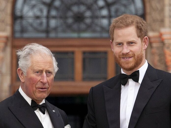 Prinz Charles und Prinz Harry bei einem Auftritt in London 2019.