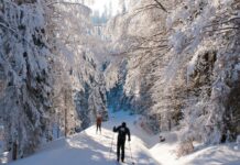 Langlauf gehört zu den anstrengendsten Wintersportarten.