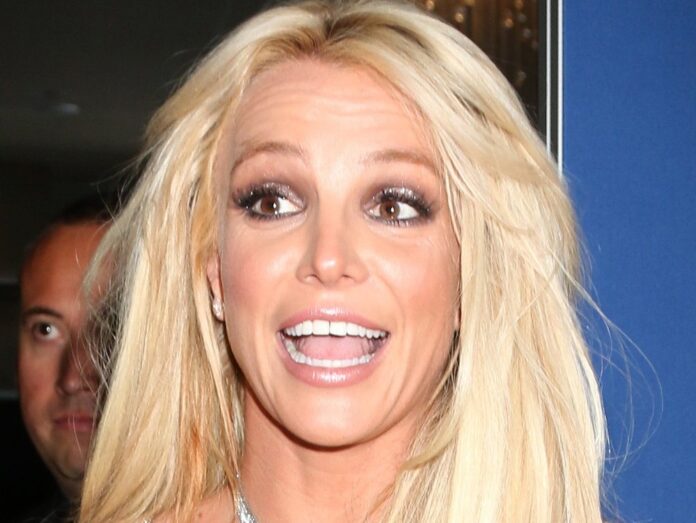 Britney Spears stellt auf Instagram ihren neuen Welpen vor.