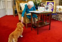 Ob Queen Elizabeth II. ihren Hund Candy auch mit dem neuen Parfüm einsprüht?