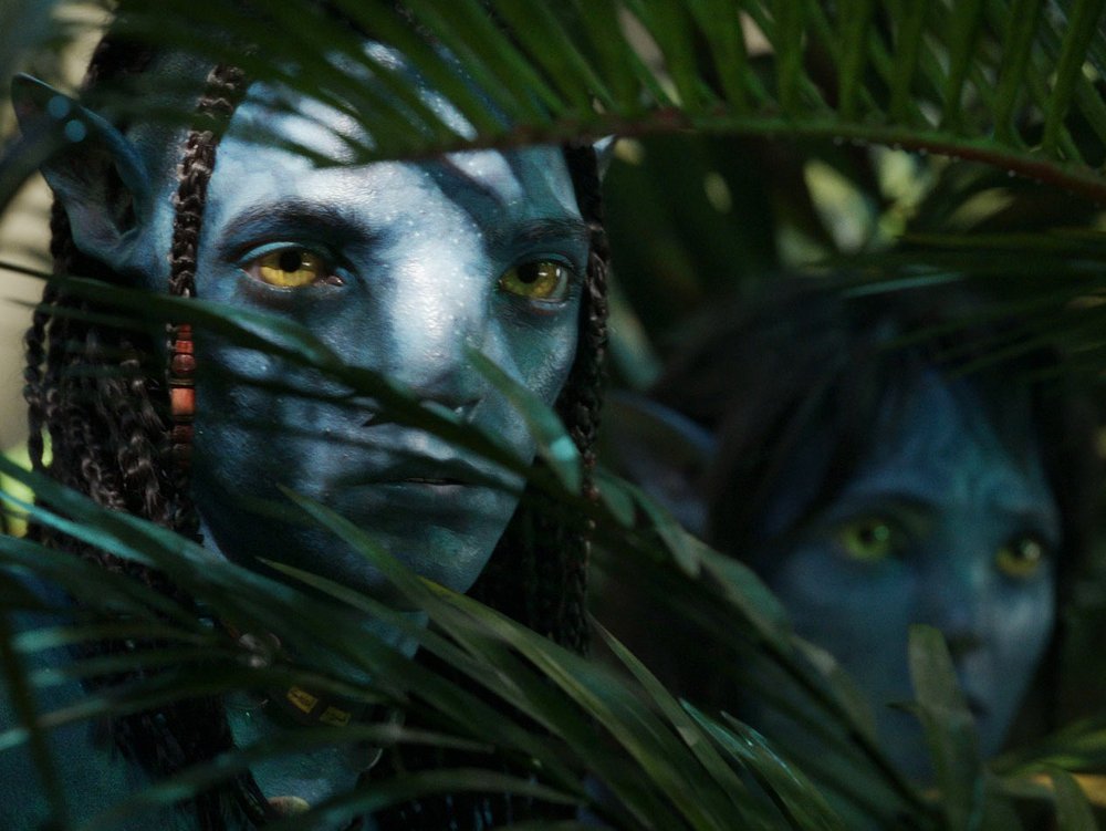 Auch der zweite Teil von "Avatar" kann mit einem beeindruckenden Szenenbild überzeugen.