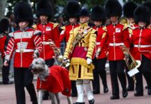 Die "Trooping the Colour"-Truppe der Irish Guards