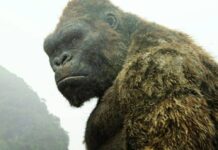 Im Kino ist King Kong ein gern gesehenes Spektakel - hier etwa in "Kong: Skull Island" aus dem Jahr 2017.
