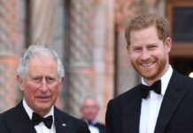 Wie steht es um das Verhältnis zwischen Prinz Charles und Prinz Harry?