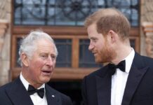 Wie steht es um die Beziehung von Prinz Charles (l.) und Prinz Harry?