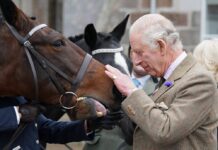 König Charles III. hat die angeblich rund 180 Pferde und Ponys von Queen Elizabeth II. geerbt.