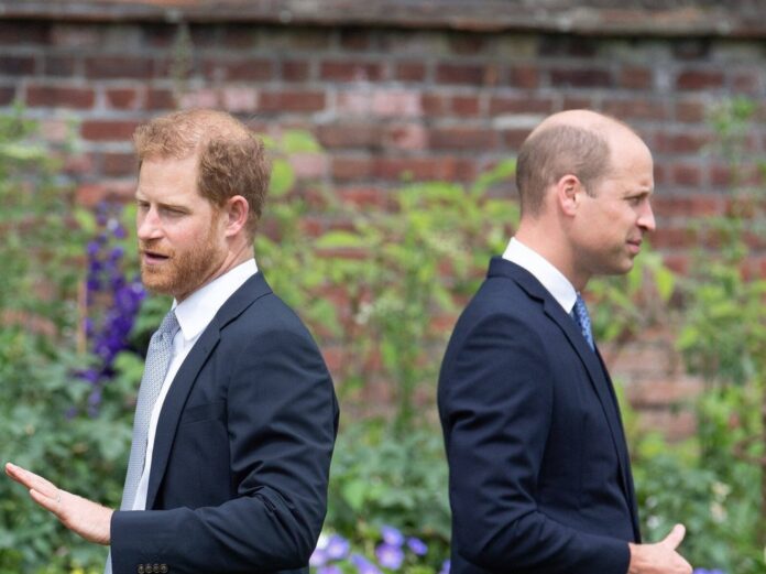 Zwischen Prinz Harry und Prinz William herrscht seit einiger Zeit dicke Luft.