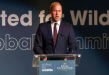 Prinz William hielt eine Rede beim United for Wildlife Global Summit in London.