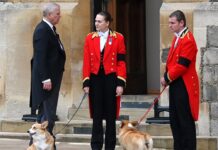 Prinz Andrew während den Trauerfeierlichkeiten für Queen Elizbeth II. mit den Corgis Muick und Sandy.