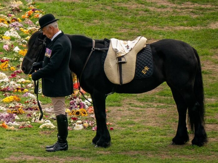 Pony Emma und Gestütsleiter Terry Pendry bei der Beerdigung der Queen