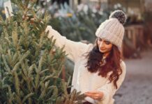 Beim Kauf eines Weihnachtsbaums ist nicht nur die Optik
