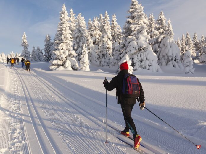 Langlaufen ist ein beliebter Wintersport.