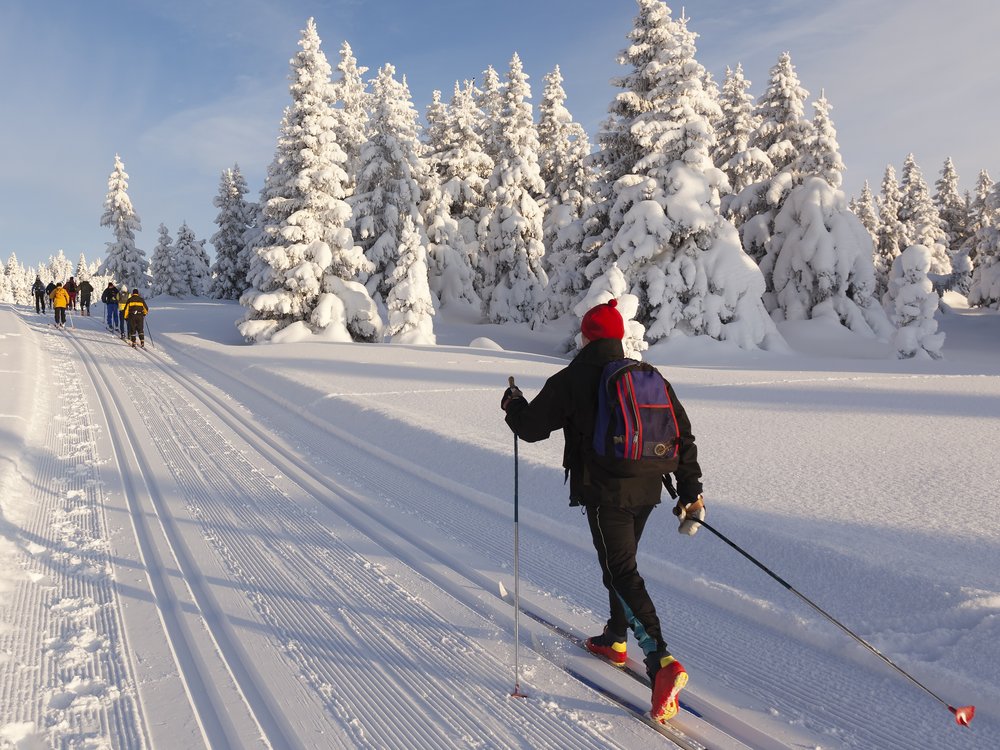 Langlaufen ist ein beliebter Wintersport.