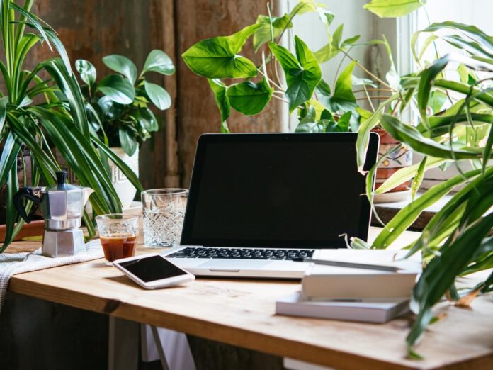 Pflanzen können den Schreibtisch zu einem umweltfreundlicheren Ort machen.