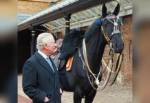 König Charles III. mit seinem neuen Pferd Noble.