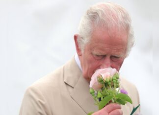 König Charles wird auf Blumen-Sonderbriefmarken zu sehen sein.