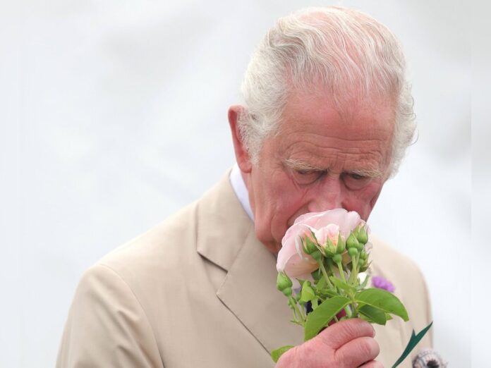 König Charles wird auf Blumen-Sonderbriefmarken zu sehen sein.