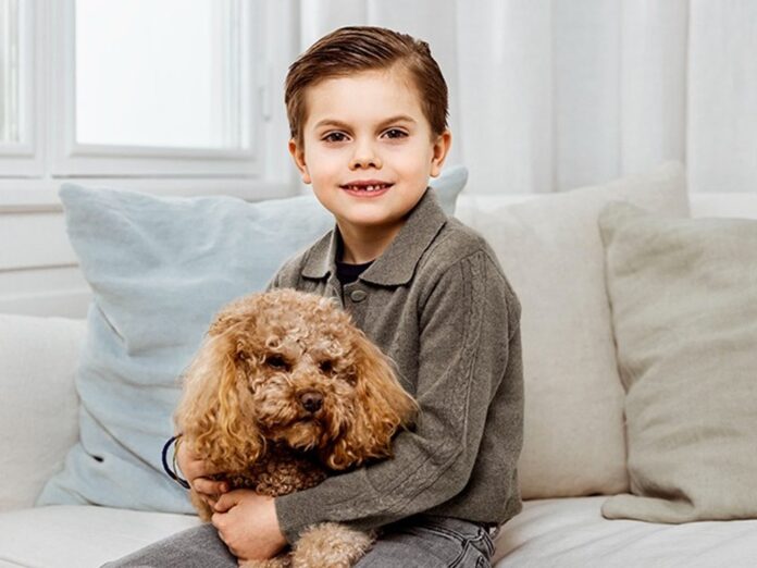 Prinz Oscar von Schweden feiert seinen 7. Geburtstag - mit Zahnlücke und Hund.