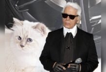 Karl Lagerfelds Katze Choupette könnte zur Met Gala kommen.