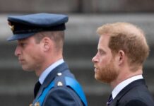 Prinz William und Prinz Harry beim Staatsbegräbnis für die Queen.
