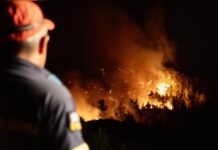 Auf Rhodos und anderen Teilen Griechenlands toben derzeit zahlreiche Waldbrände.