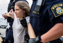 Greta Thunberg wird von der Polizei nach ihrer Protestaktion aus dem Hafen von Malmö entfernt.