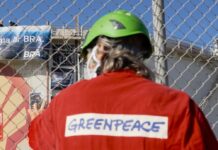 In "Inside Greenpeace - Was braucht es