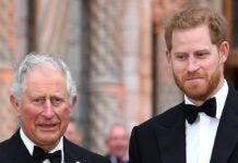 2019 schien das Verhältnis noch besser zu sein: Charles und Harry gemeinsam auf dem roten Teppich bei einer Premierenfeier in London.