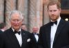 Im Mai soll es ein weiteres kurzes Treffen zwischen Prinz Harry und König Charles III. geben.
