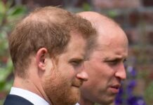 Prinz William und Prinz Harry: Wie schlimm steht es um die brüderliche Beziehung?