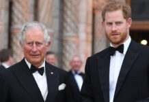 Darf Prinz Harry noch länger als Vertretung seines Vaters König Charles fungieren?